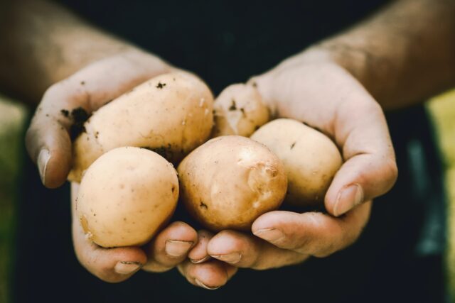 Small Potatoes: a story