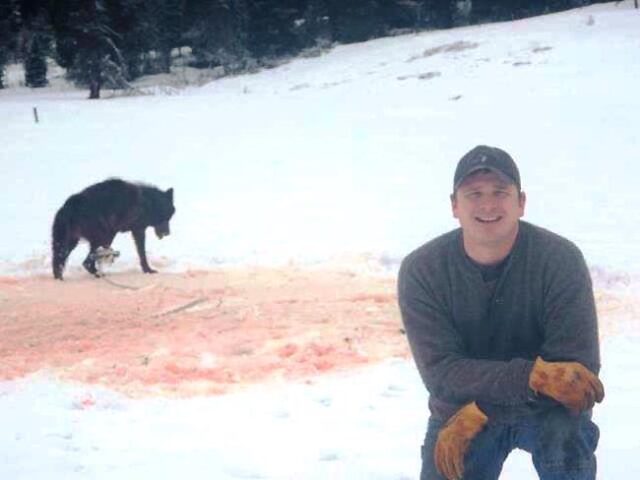 A trapper kneels smiling in front of a black wolf, whose right hind leg is caught in a trap. The white snow has turned red from the animal’s blood. Trappers are compensated for killing wolves by governments and corporations like the Foundation for Wildlife Management.