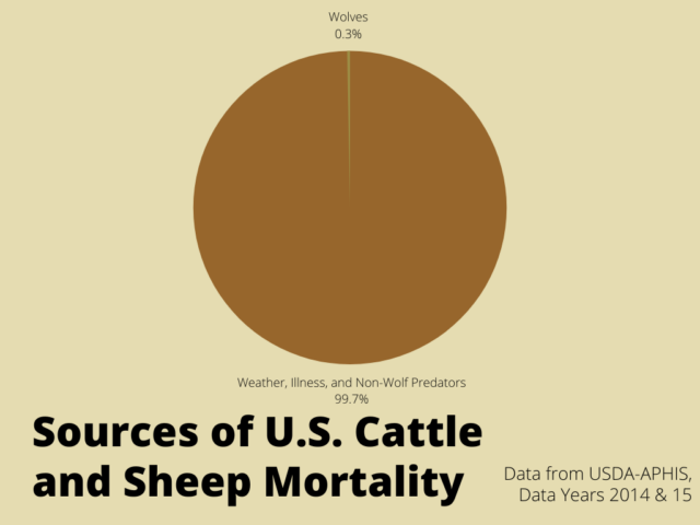 A pie chart titled, “Sources of U.S. Cattle and Sheep Mortality” compares cattle and sheep mortality caused by wolf predation (less than 0.3%, a tiny sliver) to that caused by weather, illness, and non-wolf predators (over 99.7%, the vast majority).