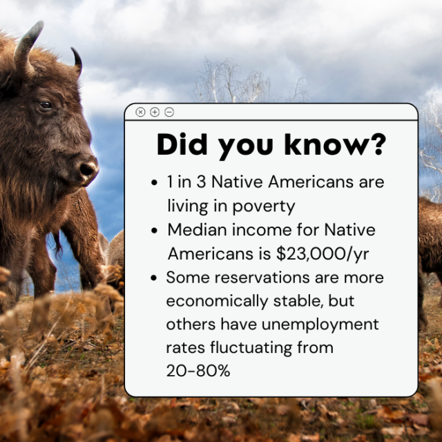 The text on the picture reads, “Did you know? 1 in 3 Native Americans are living in poverty. Median income for Native Americans is $23,000/yr. Some reservations are more economically stable, but others have unemployment rates fluctuating from 20-80%.”