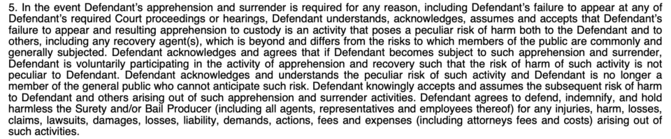 An image of a provision from a bail bond contract issued by AIA, a large underwriter of commercial bail bonds. The provision passes on all liability caused during apprehension to the individual released on bond and their co-signer. 