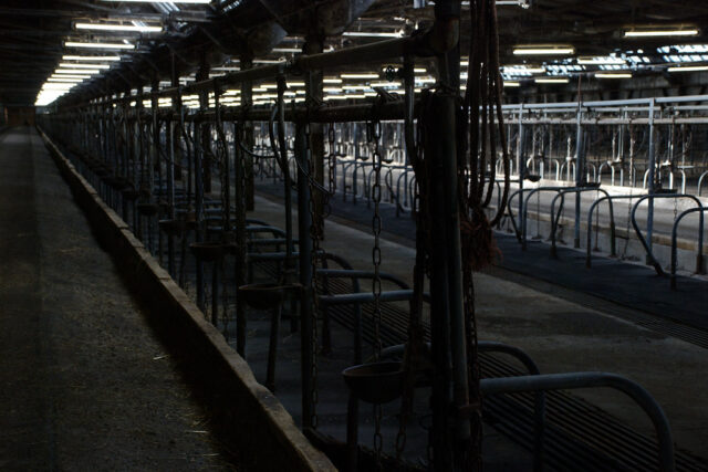Secrets of the Heartland: The battle to see inside Iowa’s factory farms