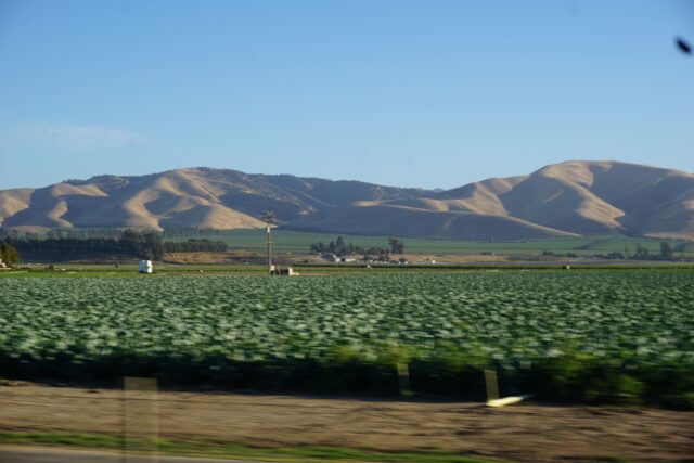Farmland in the Salinas Valley, CA.