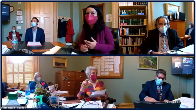 Screenshot zoom livestream from the Senate committee on Government Operations, showing several senators including Kesha Ram-Hinsdale, Alison Clark, and Jeanette White, along with housing organizer Tom Proctor, sitting around a table with a lot of paper and other items on the table.