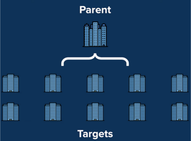 Representations of how PE funds dominate a sector through the roll up strategy