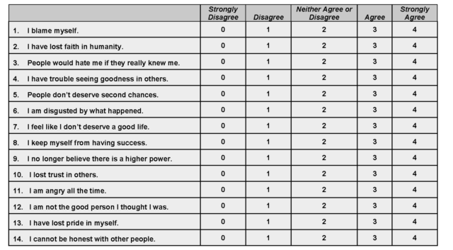 The first portion of the Moral Injury Outcome Scale questionnaire, asking respondents to score their degree of agreement with a series of statements determined to be potentially indicative of moral injury. 