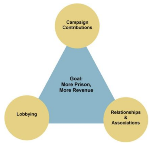 The Strategy: The Triangle of Private Prison Political Influence 