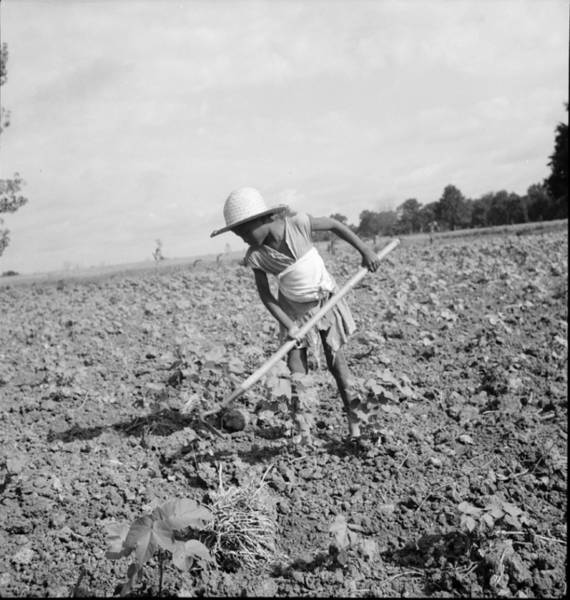 Young girl in field along using hoe 